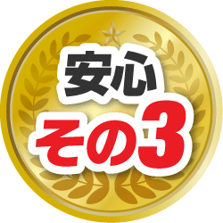 安心その3